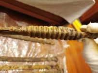 汉环首刀 刀柄及缠绳一例