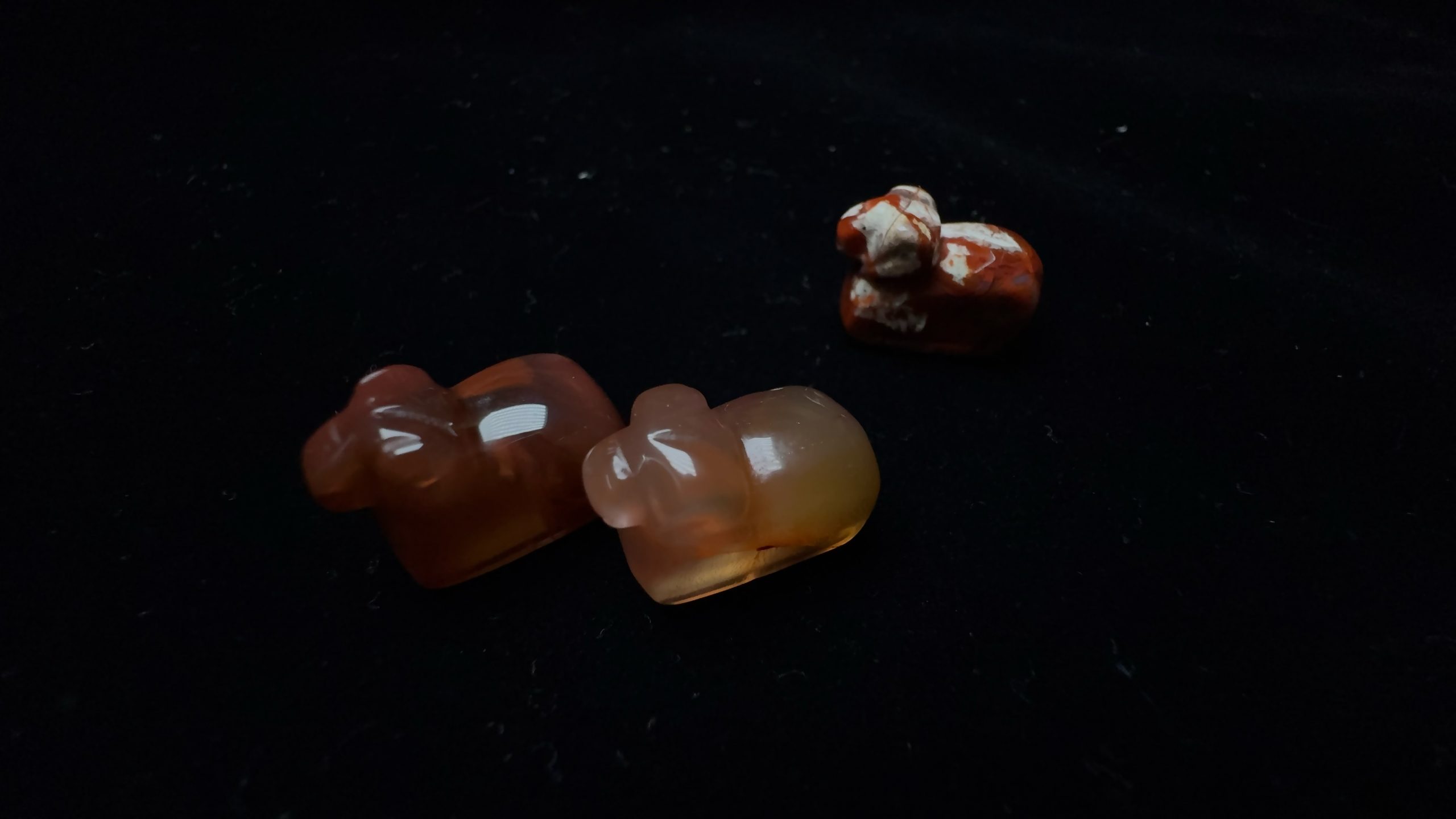 北票战国红小羊【开团】